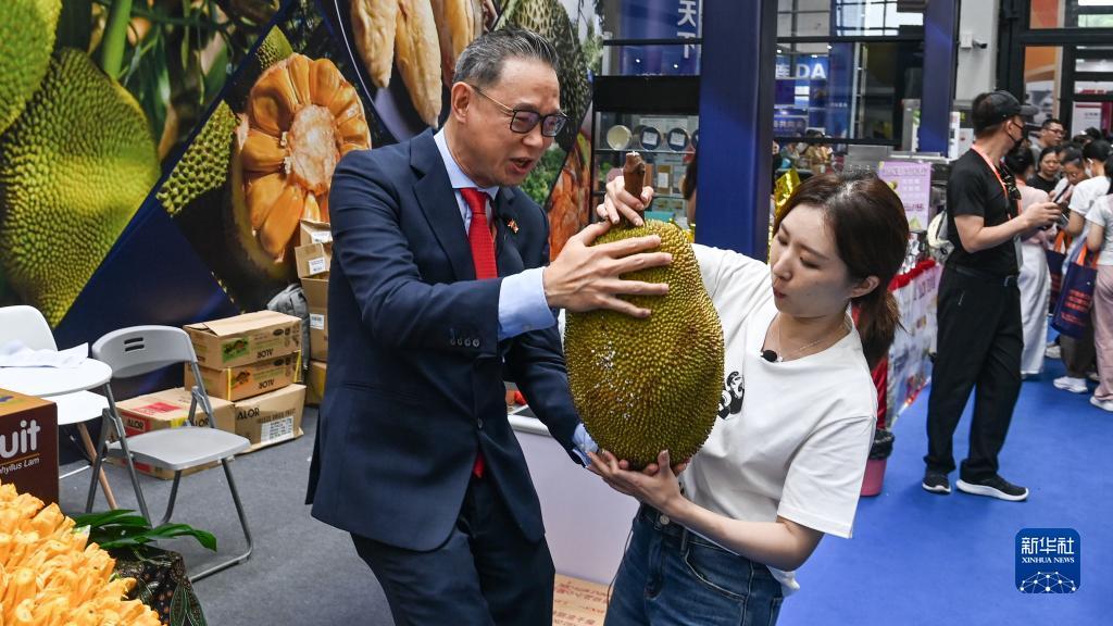 大连娱网旗牌官网下载