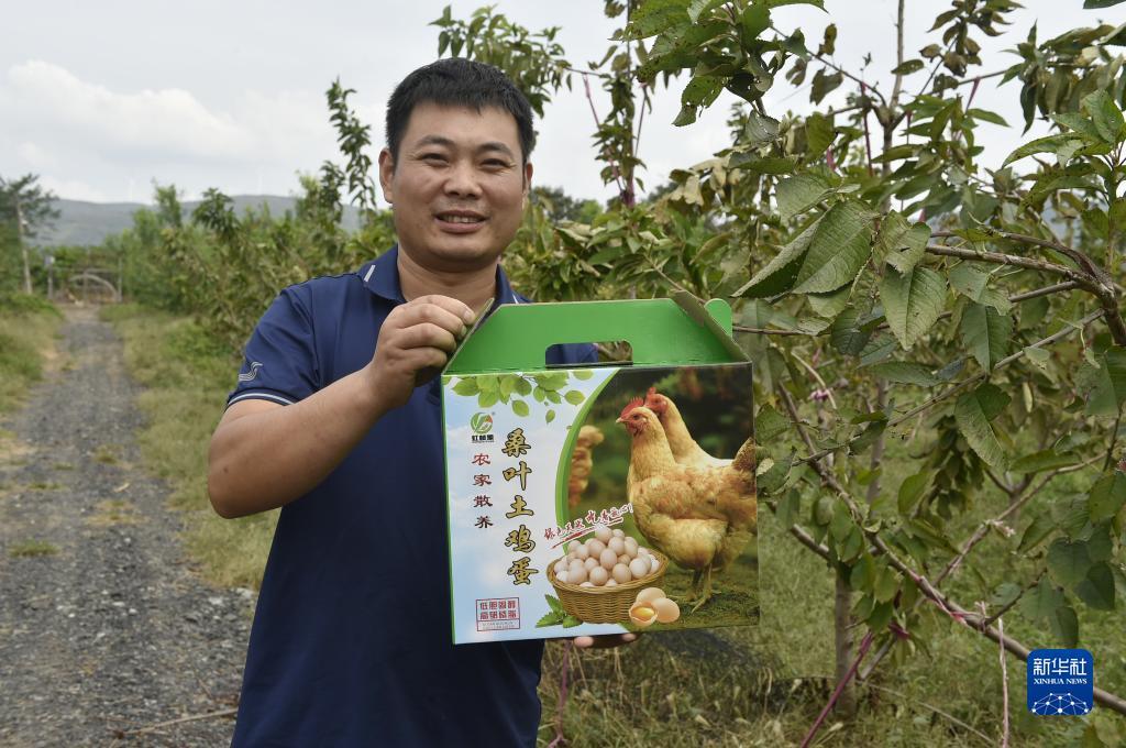 捕鱼游戏破解版内购